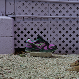 SAUCONY X JAE TIPS Progrid Triumph 4 Perilla (Violet/Earth)
