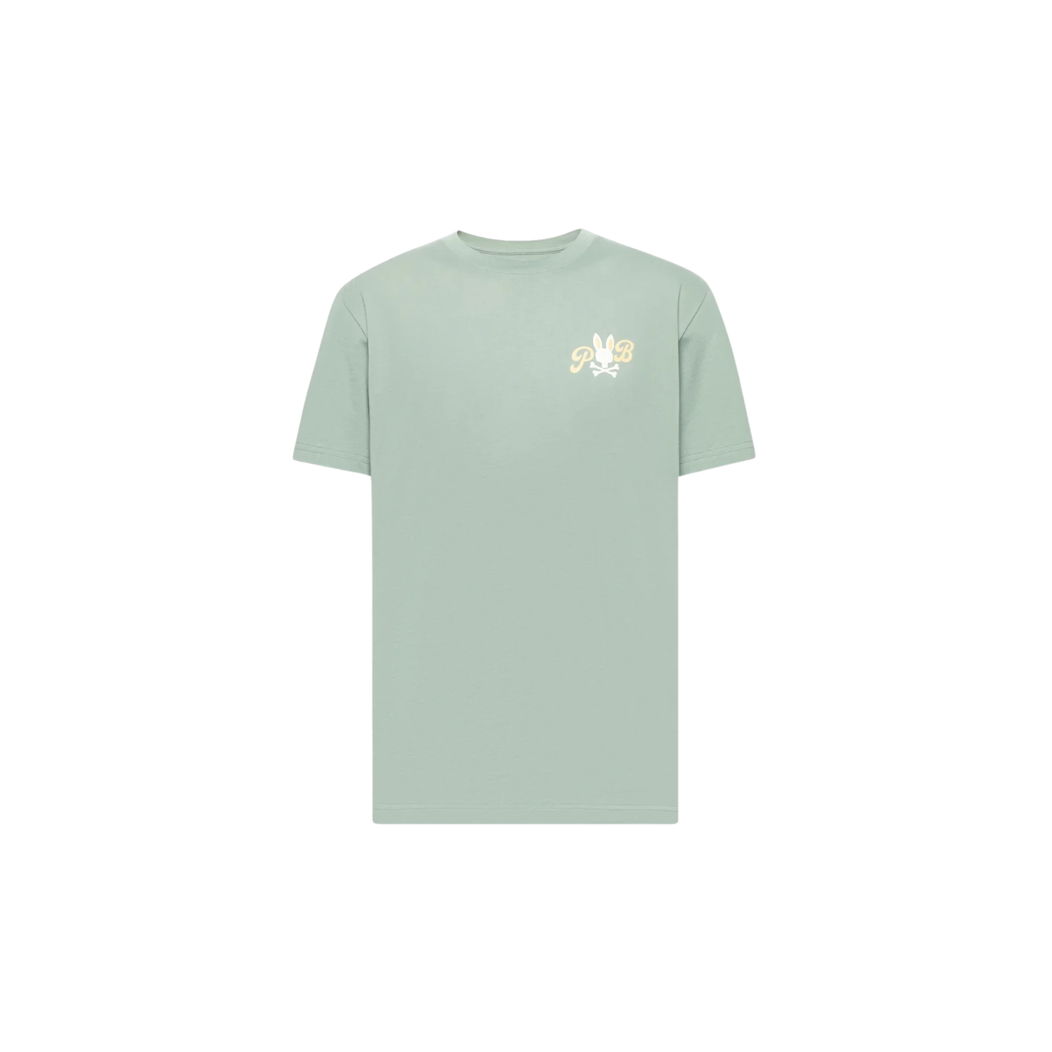 Psycho Bunny "Jeremy" Graphic Tee (Iceberg Green)
