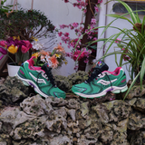 SAUCONY X JAE TIPS Progrid Triumph 4 Sugar Maple (Fern/Fern)