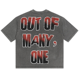 Godspeed "Fates Doorstep" T-shirt (Grey)