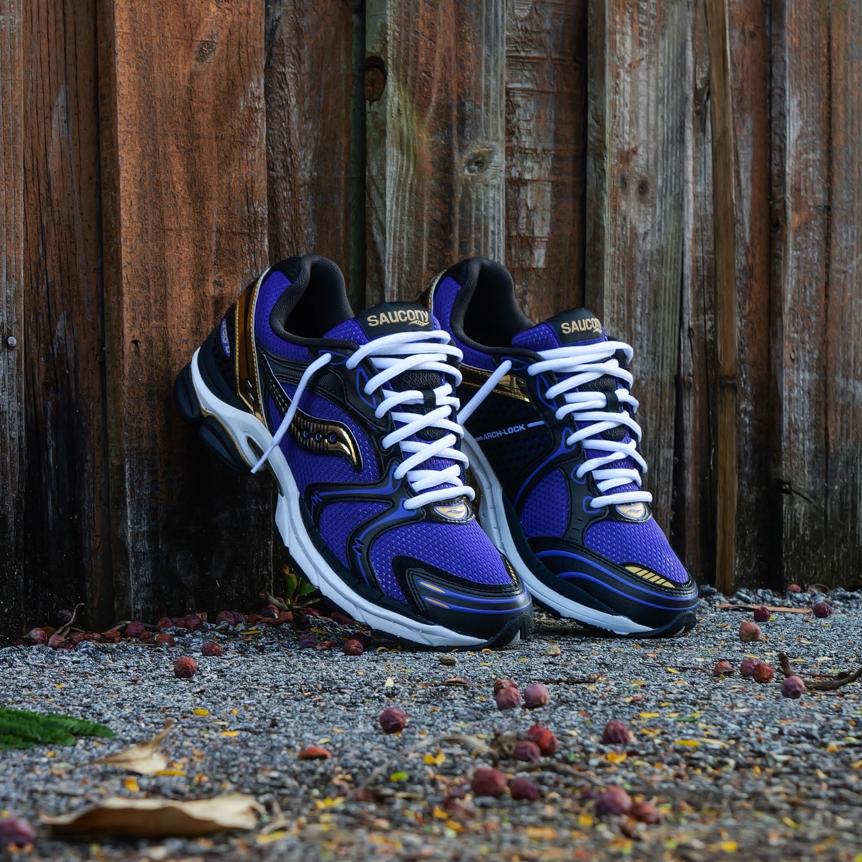 Mens Saucony ProGrid Triumph 4  (Purple/Gold)