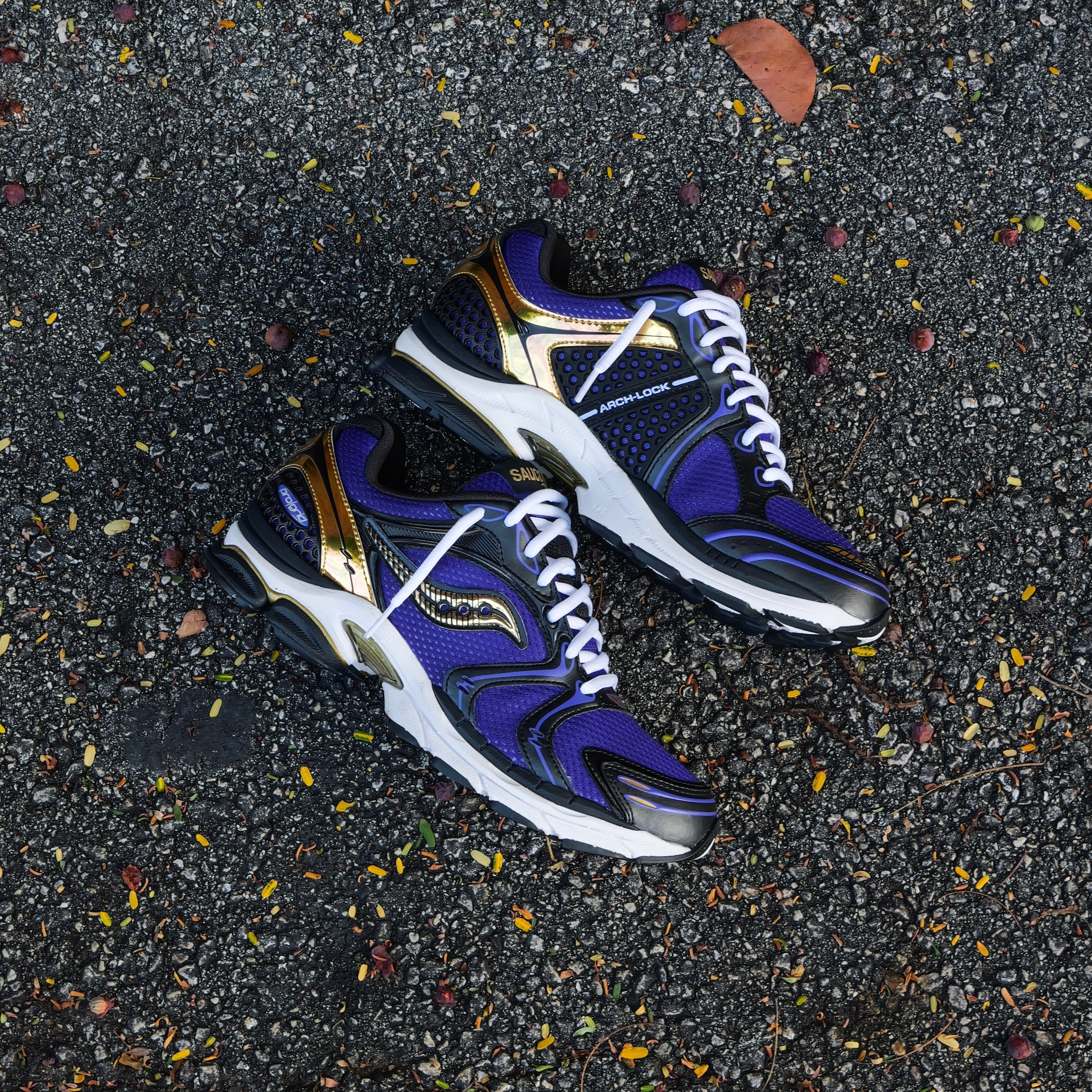Mens Saucony ProGrid Triumph 4  (Purple/Gold)