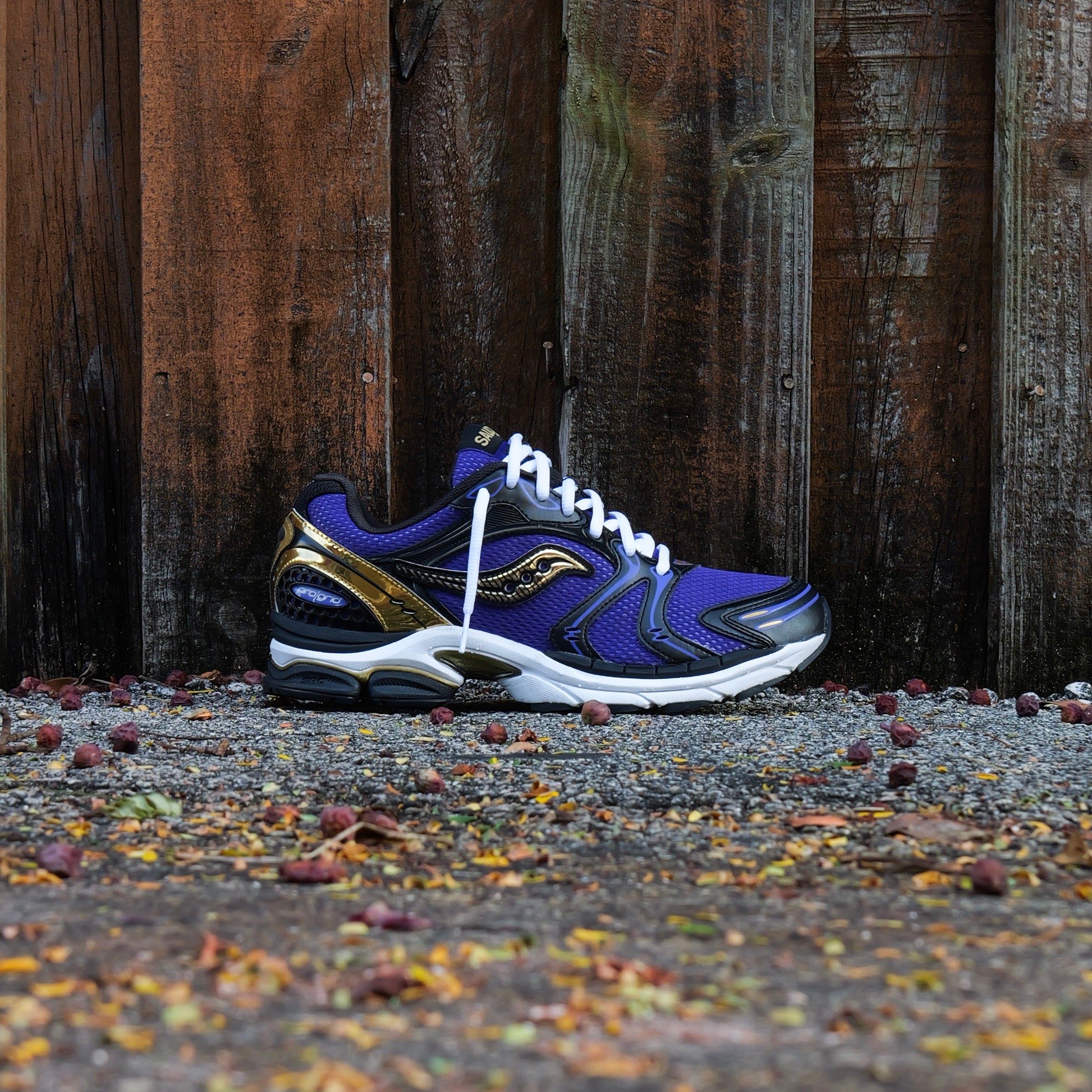 Mens Saucony ProGrid Triumph 4  (Purple/Gold)