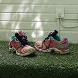 SAUCONY X JAE TIPS Progrid Triumph 4 Virginia Creeper (Peach/Leaf)
