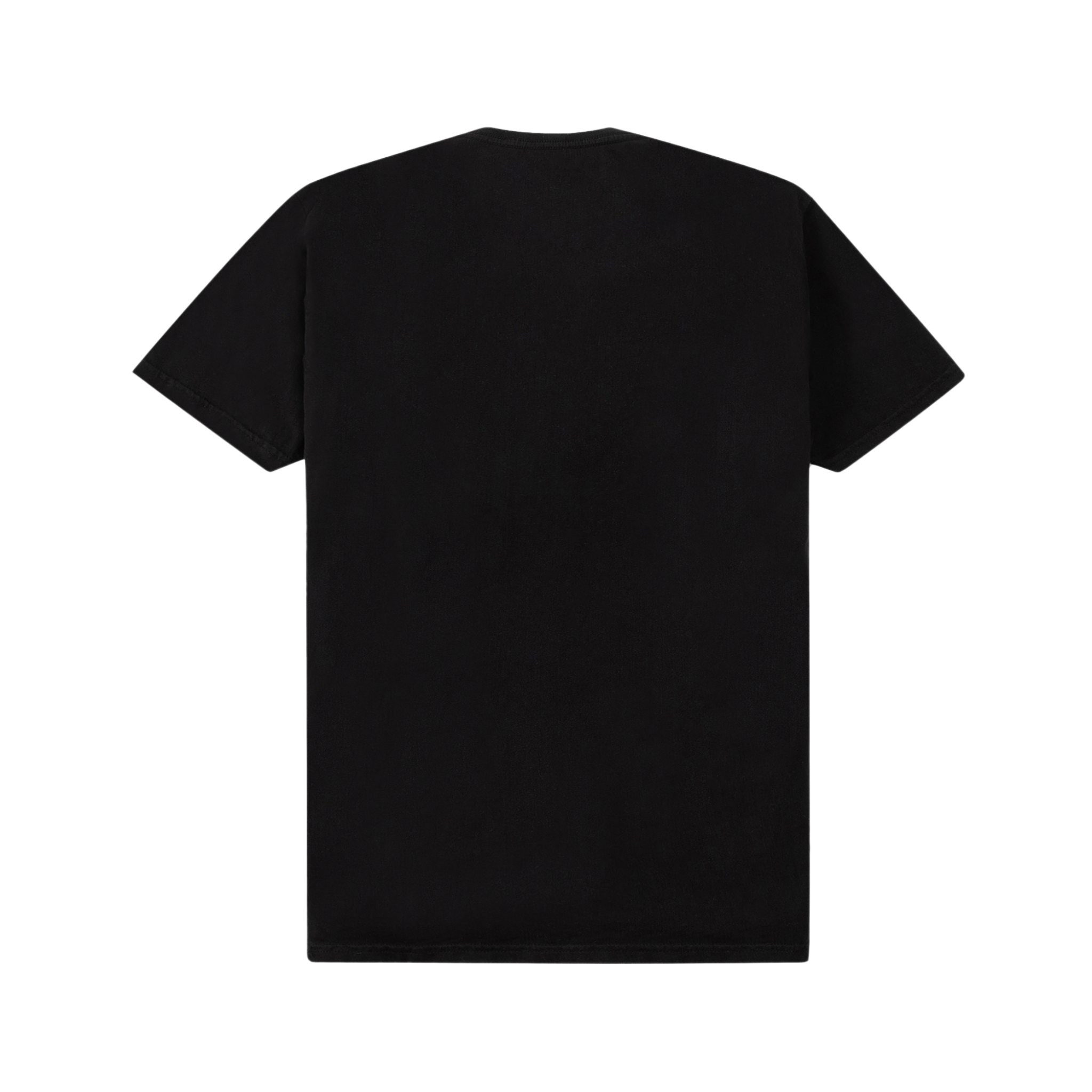 Paper Planes Colorful Reflection Tee (Black)