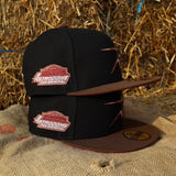 New Era Houston Astros Astrodome The Original Side Patch Fitted (Black)