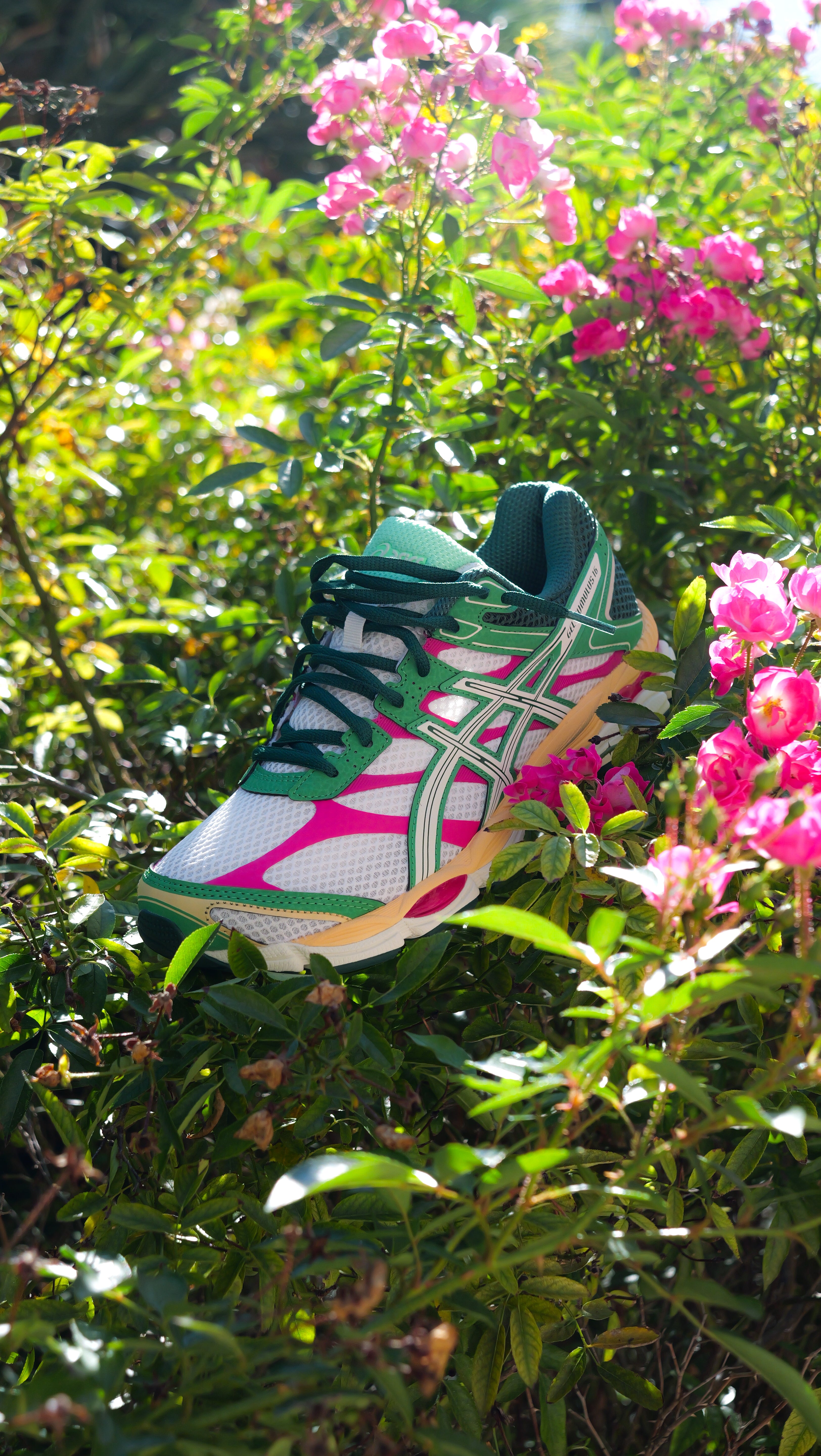 Mens Asics Gel-Cumulus 16 (Cream/Ivory)