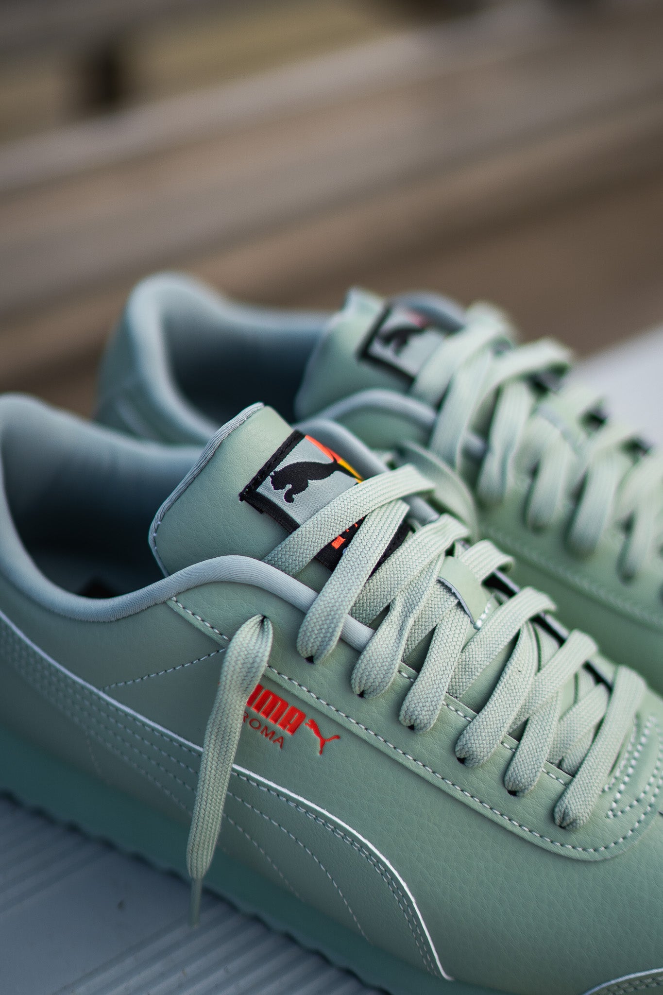 Mens Puma Roma Brand Love (Green Fog) - Puma