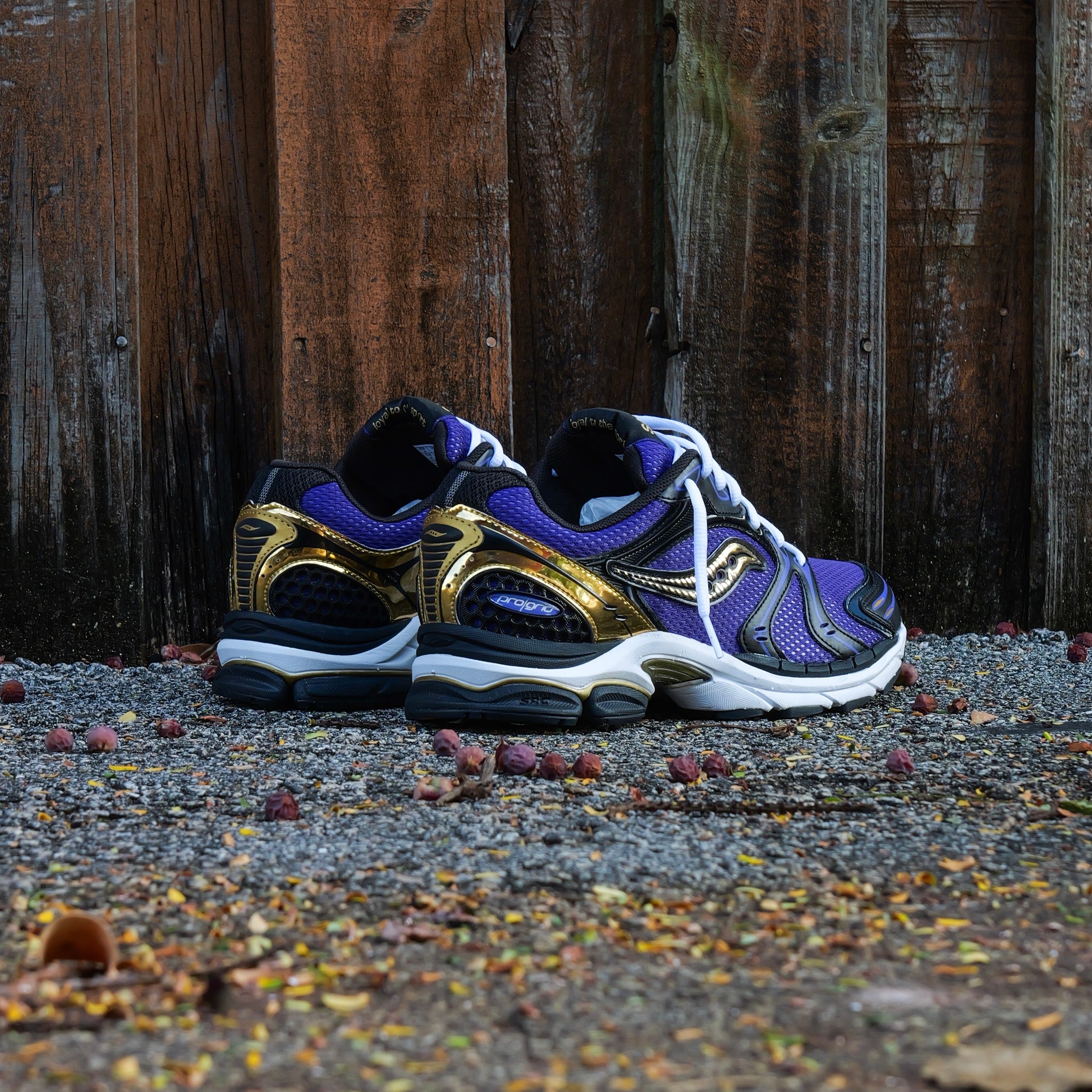 Mens Saucony ProGrid Triumph 4  (Purple/Gold)
