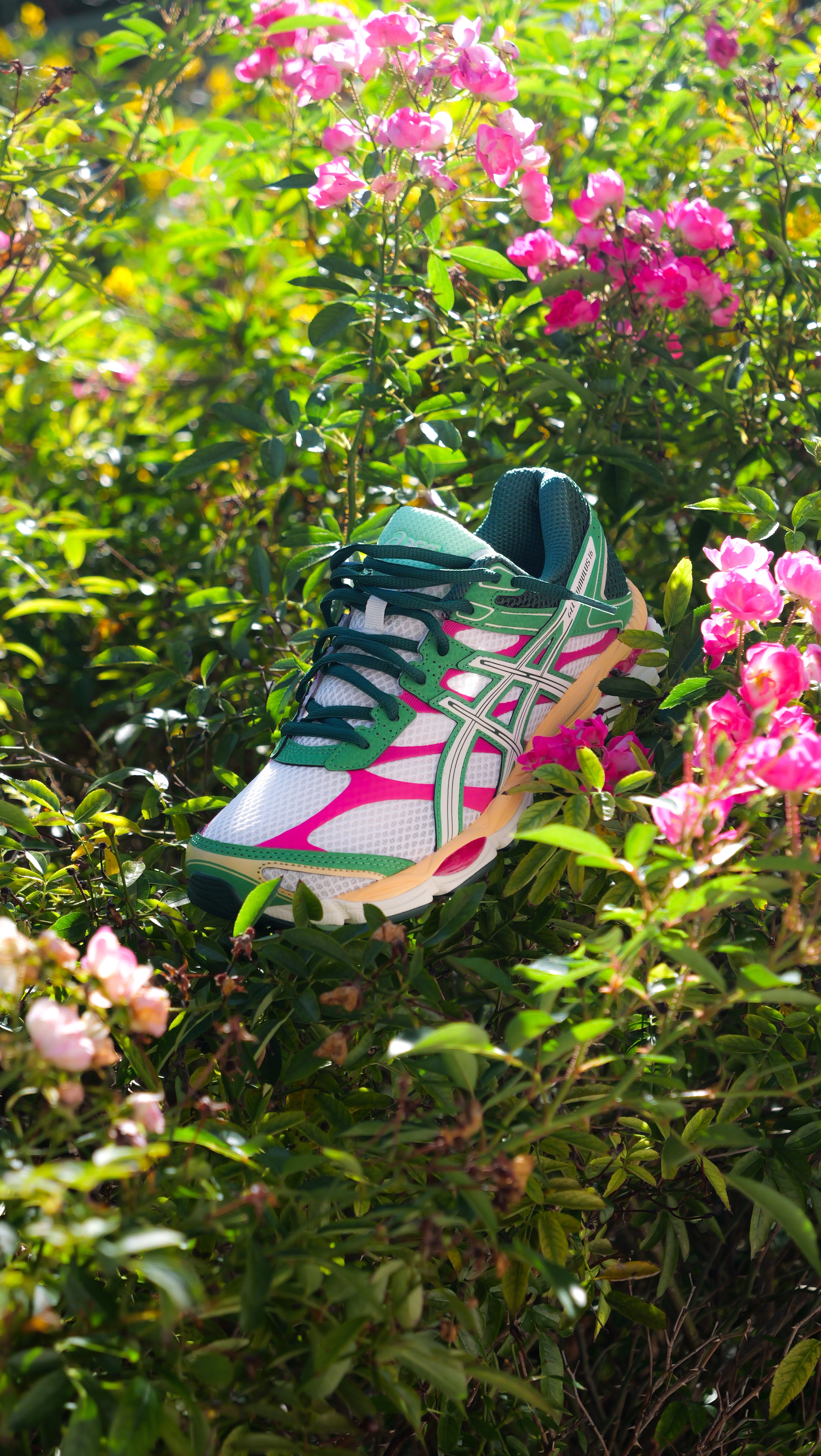 Mens Asics Gel-Cumulus 16 (Cream/Ivory)