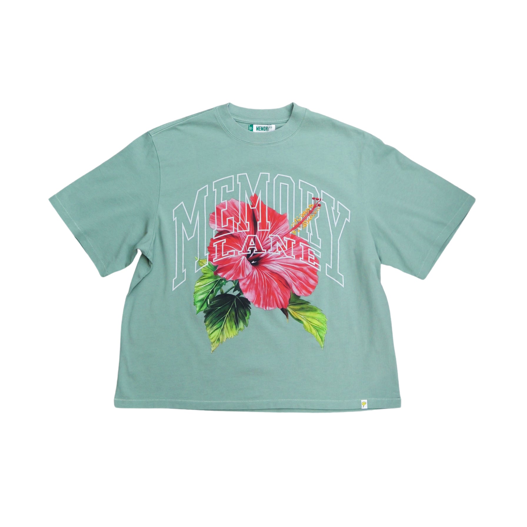 Memory Lane Slippin’ Crop Tee (Sage)