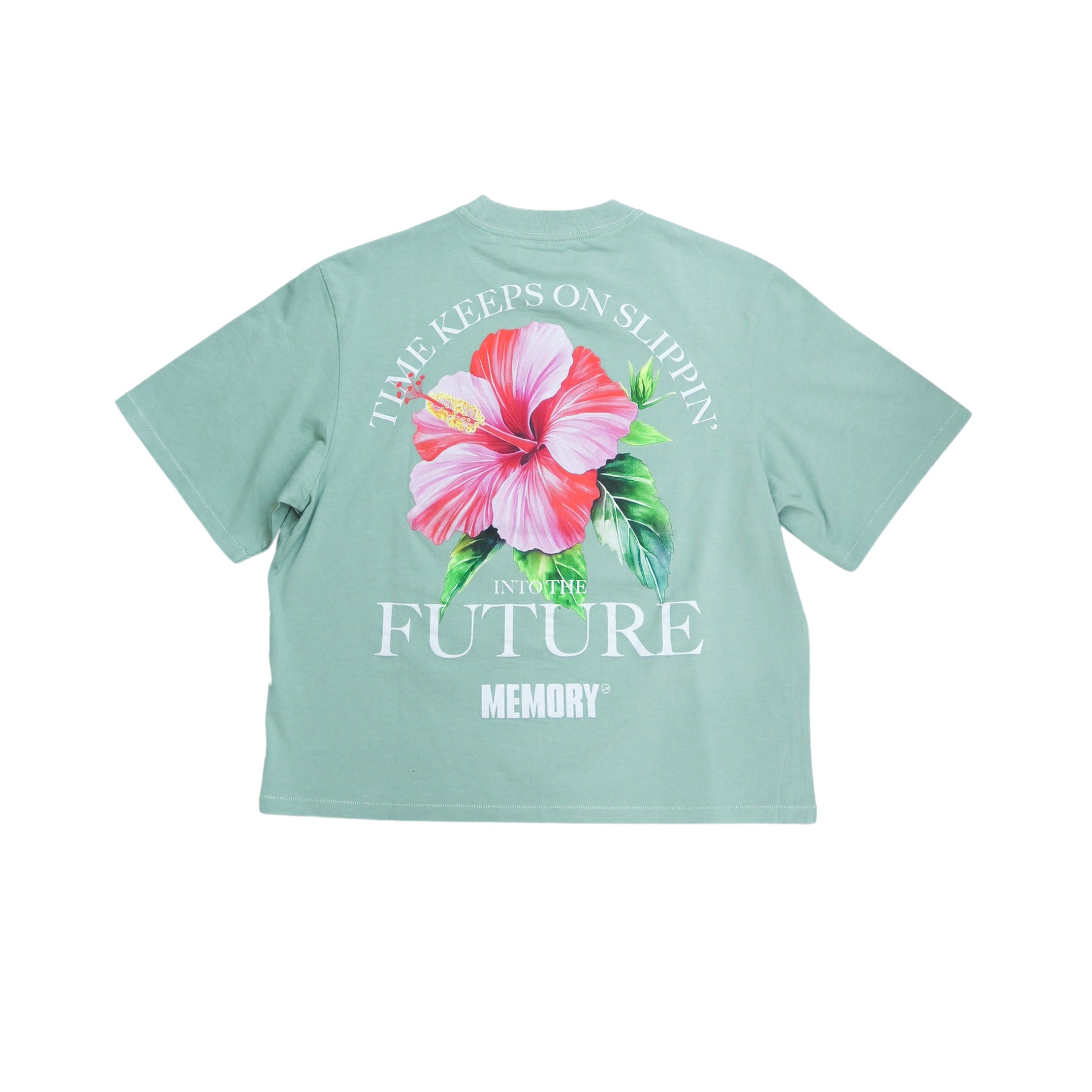 Memory Lane Slippin’ Crop Tee (Sage)