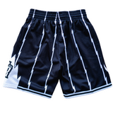 Mitchell & Ness White Logo Swingman Shorts Toronto Raptors - Mitchell & Ness